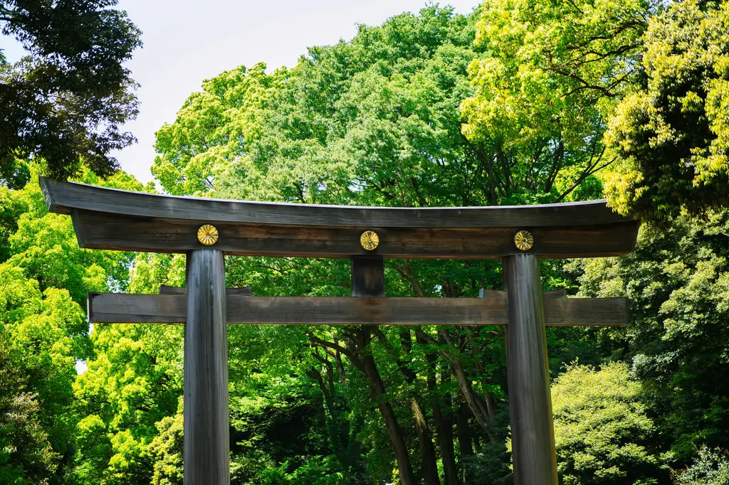 函館美食指南：深入探索日本北海道的美味天堂