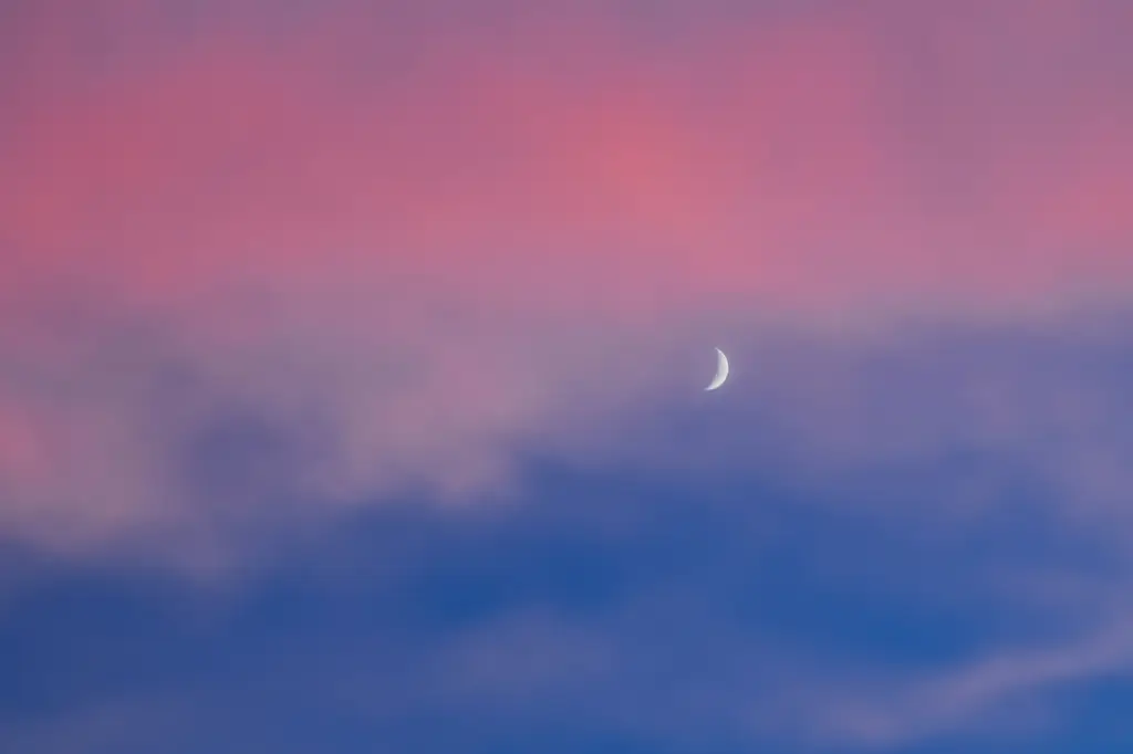 北海道冬季自由行指南：體驗白雪皚皚的絕美仙境