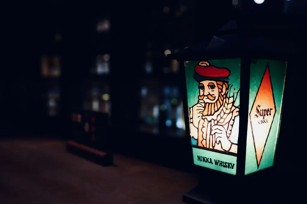 北海道狐狸村：與100多隻狐狸近距離接觸的夢幻樂園