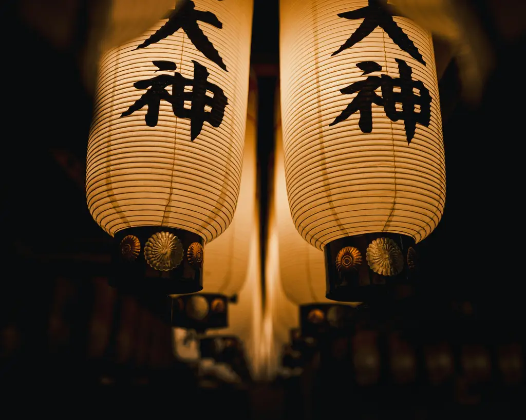 北海道自駕自由行攻略：打造夢幻極光之旅