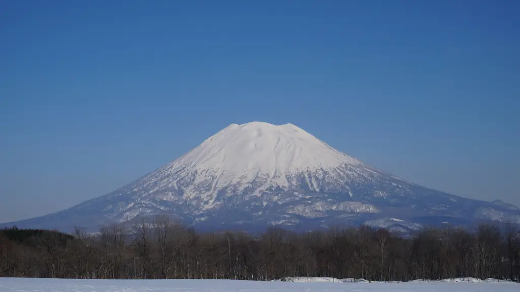 北海道自駕遊：絕美風景、美食天堂的奇幻旅程