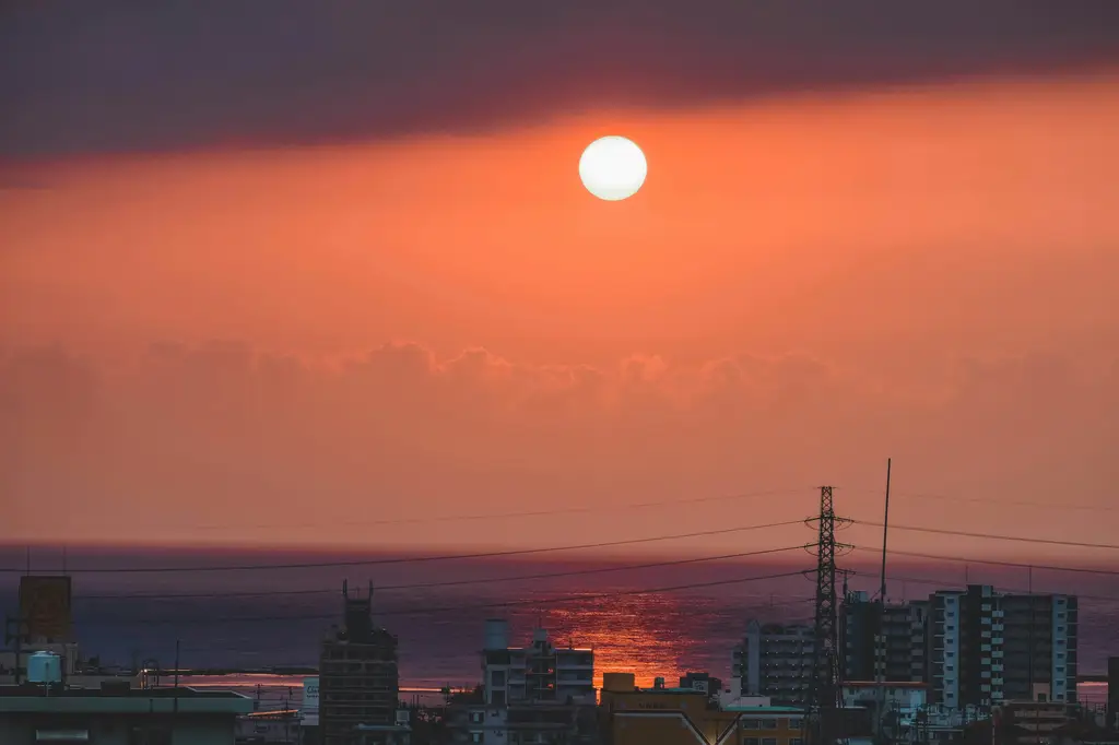 北海道御寒衣著攻略：一件搞定，寒風不怕！