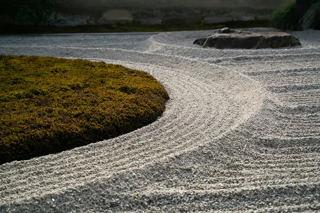 北海道雪景:冬雪仙境之美