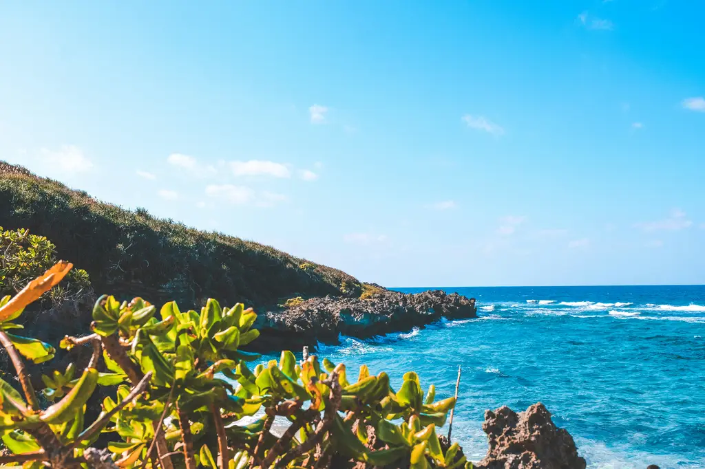北海道之旅：體驗日本最北國度的絕美與狂野